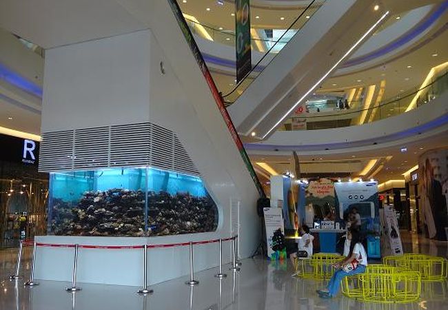 大きな水槽が見事