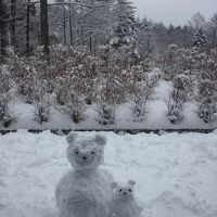 雪が降りテラスがあれば、部屋から雪遊びができます。
