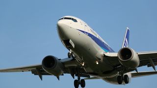 飛行機ファンの聖地らしいです。