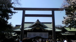 開花宣言を出す木があります