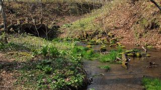 都市型公園でありながら、とても自然が豊かです。