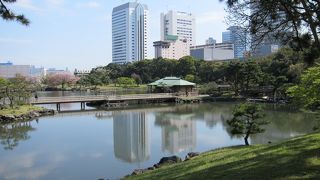 都会の中のオアシス