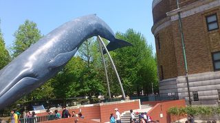 素晴らしい博物館