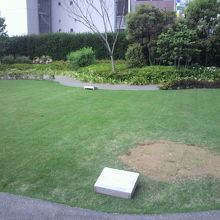 歌舞伎座タワー５階の屋外庭園です。(入場無料)