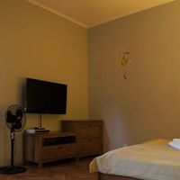 テレビと扇風機。エアコンも勿論あり