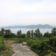奥に見えるのは松山市街と山並み