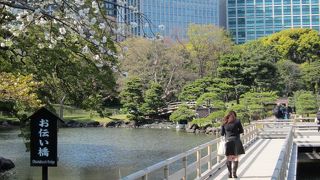 浜離宮恩賜庭園のメインスポット