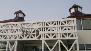 広大な土地で羊の放牧が見られます