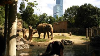 安いのに見ごたえ十分でした