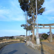 社から少し離れたところにある鳥居のある空間に惹かれます