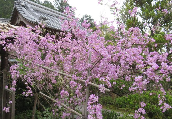 西應寺庭園