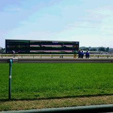 とにかく広いです。