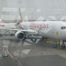 塗装はカラフルで綺麗なんですが・・・・・