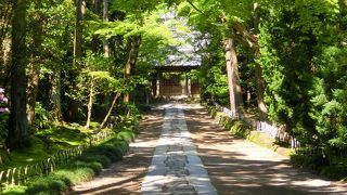 【寿福寺】 参道一点豪華主義。五山マニアと参道マニアここに集う（笑）