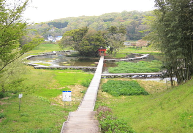 厳島湿生公園 クチコミ アクセス 営業時間 秦野 松田 足柄 フォートラベル