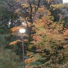 緑いっぱいでした