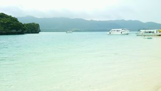 ミルクみたい！