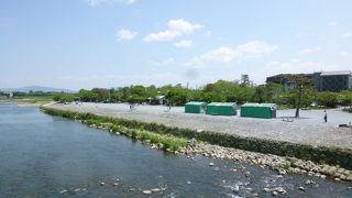 春は桜、秋は紅葉で賑わう公園！