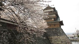隠れた桜の名所
