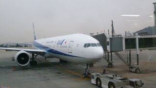 免税品の受取る日本人でいっぱい