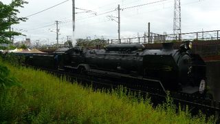 広大で自然豊かな公園