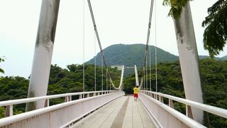 展望台がいっぱい！