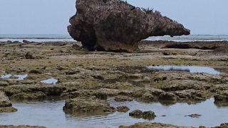 百名：これって？                                                 百名ビーチの近くにある、ナポレオンフィッシュな岩