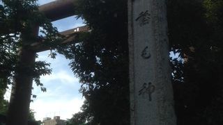稲毛神社と阪神タイガースの関係。