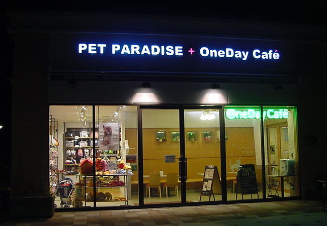 ペットと旅するときに重宝