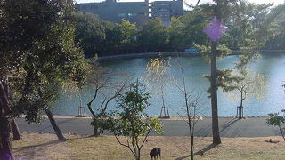 小さい池ですが雰囲気抜群