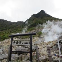 自然研究路の先にある撮影スポット