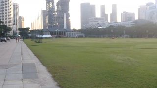 素晴らしくきれいな芝生