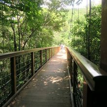 途中にある吊橋。