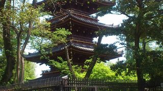 動物園内にあり