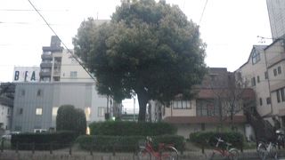 交差点の小さな公園