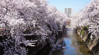 中目○じゃないよ