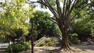 駅からも近い、気持ちの良い公園。