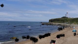 灯台からの眺めは絶景