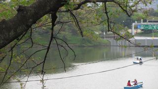 桜が満開の時に行きたいです