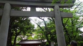 都心にある小山の上の神社。