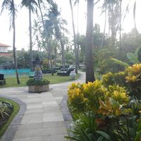 のんびりできます