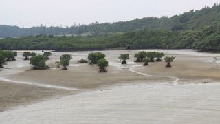 木道も整備されています