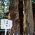 東照宮のすぐ横の開運・縁結び神社