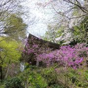 桜の時期がお勧めです