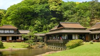 新緑ハンターに朗報。葉の色が違うだけなのにこんなにも差が（笑）　新緑の古建築公開　４/２９～５/６