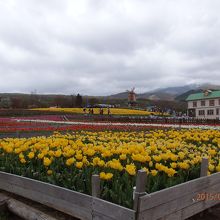 同じく、園内の風景です