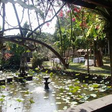 美術館内の庭園