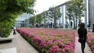 あべのハルカスの１６階の庭園