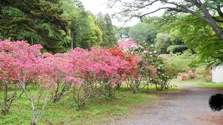 山頂にあり眺望も抜群