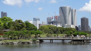 徳川家の庭園は　さすがに立派だった